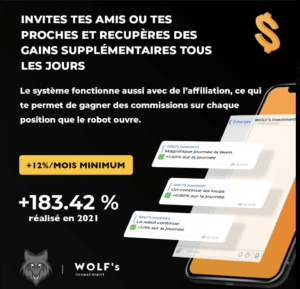 Wolf's Investment Julien Bert