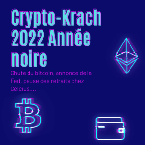 Une année 2022 noire pour les cryptomonnaies... Crypto-Krach