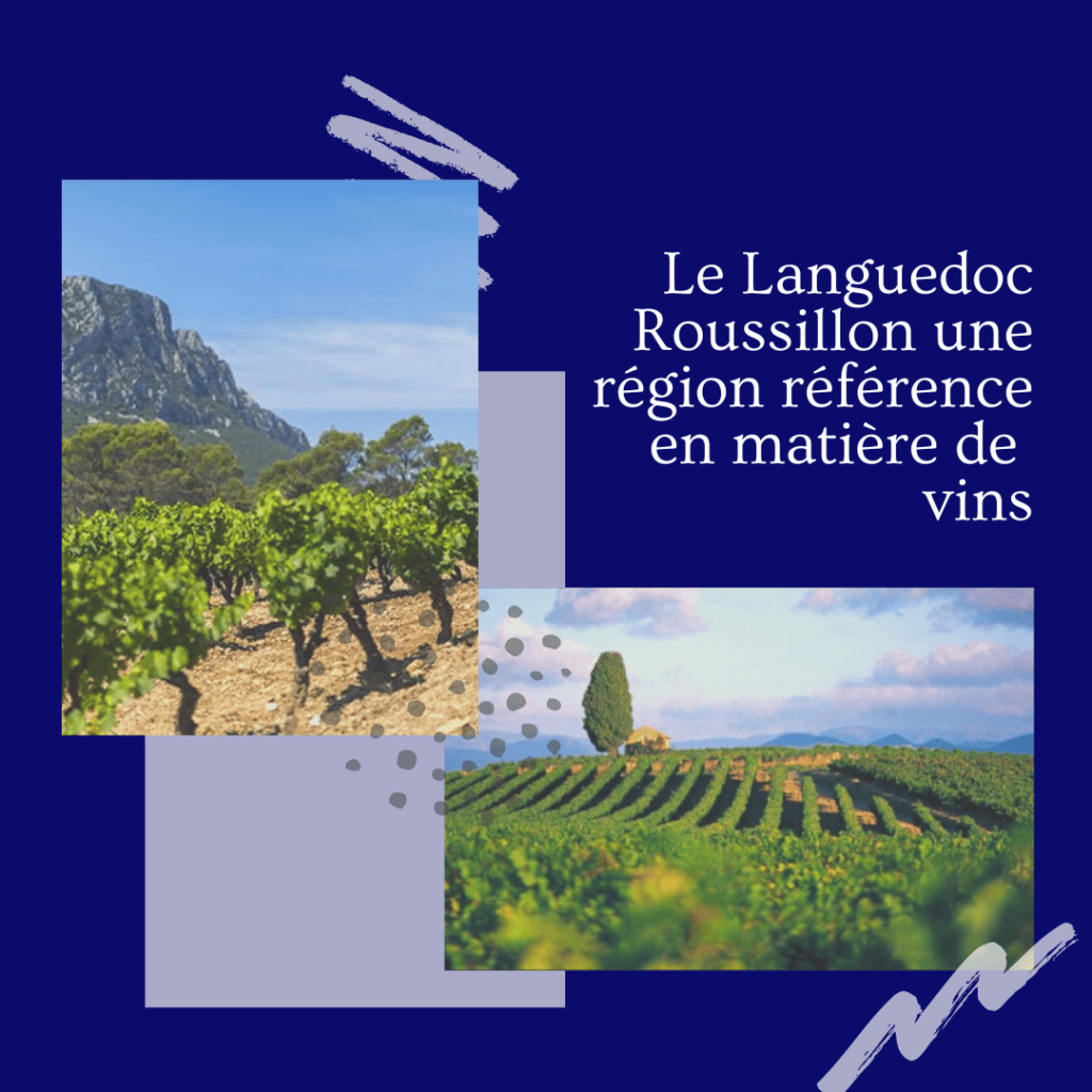 🍷 Le Languedoc Roussillon performe au niveau des enchères de vin au 1er S 2022 - iDealWine